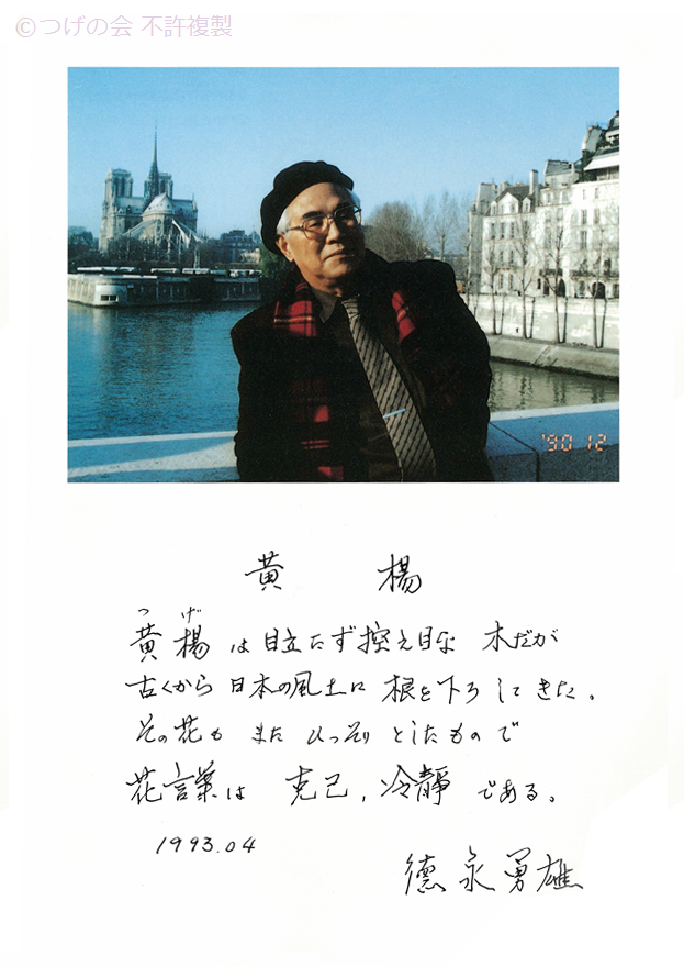 kinenshi_2.png